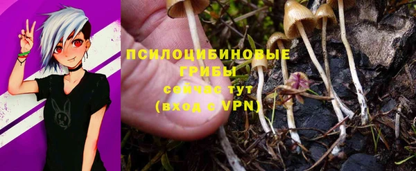мяу мяу мука Богородицк