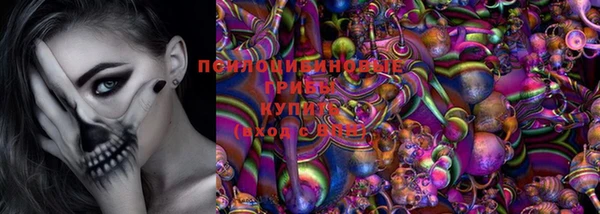 марки nbome Белокуриха
