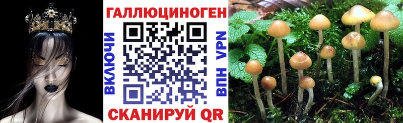 Псилоцибиновые грибы прущие грибы  мориарти формула  Тотьма  купить наркоту 
